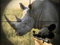 Гра Дикий носоріг мисливець онлайн