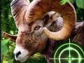 Гра Божевільний мисливець на кіз 2020 онлайн