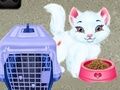 Гра Догляд за тваринами Baby Taylor онлайн
