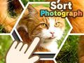 Гра Сортувати фотографії онлайн