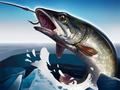 Гра Льодяна рибалка 3D онлайн Гра Льодяна рибалка 3D онлайн
