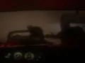 Гра Лякаючий джунглевий сафарі онлайн Гра Лякаючий джунглевий сафарі онлайн