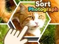 Гра Сортувати фотографії онлайн