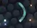 Гра Слизер.io онлайн