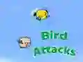 Гра Нападіння Птахів онлайн