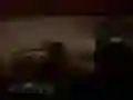 Гра Лякаючий джунглевий сафарі онлайн Гра Лякаючий джунглевий сафарі онлайн