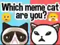 Гра Який ви мем-кот? онлайн Гра Який ви мем-кот? онлайн