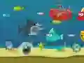 Гра Божевільна акула онлайн Гра Божевільна акула онлайн