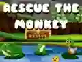 Гра Врятуй мавпу онлайн