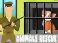 Гра Порятунок тварин онлайн