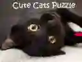Гра Милі котики: Гра-головоломка онлайн