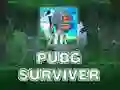 Гра PUBG Виживший онлайн Гра PUBG Виживший онлайн