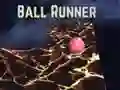 Гра Бігунець м'яча онлайн
