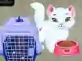 Гра Догляд за тваринами Baby Taylor онлайн Гра Догляд за тваринами Baby Taylor онлайн