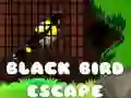 Гра Втеча Чорної Птиці онлайн