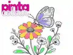 Гра Пінта Колір онлайн