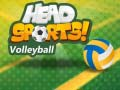 Гра Волейбол від Head Sports онлайн