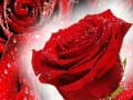 Гра Червоні троянди онлайн