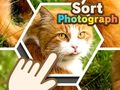 Гра Сортувати фотографії онлайн